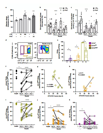 图2 中性粒细胞亚群（PWN）及其在败血症和健康患者中的作用