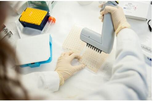 微流控设备用于新冠肺炎抗体测试 微流控设备用于新冠肺炎抗体测试
