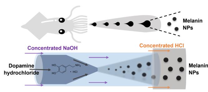 微流体技术高效可控制备类黑色素纳米材料