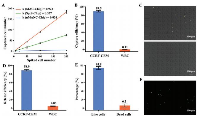 图3 芯片的细胞捕获和释放性能表征