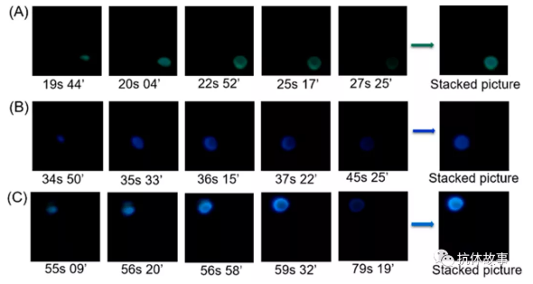 图1 检测视频不同时间典型截图的叠加图像，图像分别对应检测区域1(A)、2(B)、3(C)产生的光发射