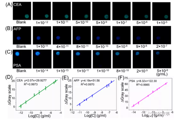 图2 检测区1(A)、2(B)和3(C)号在不同浓度的CEA、AFP和PSA存在时的堆叠图片。CEA (D)、AFP (E)、PSA(F)为视频检测模式的代表性校准曲线