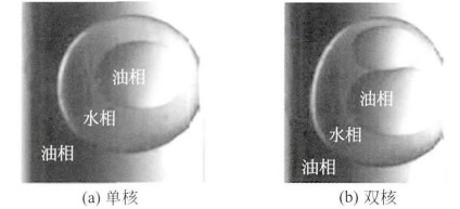 双乳液液滴 双乳液液滴