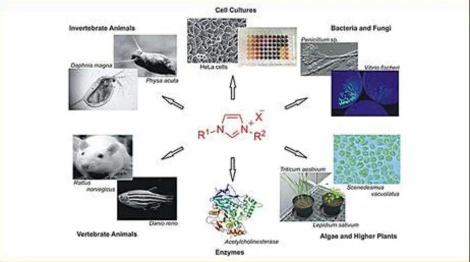 离子液体技术 离子液体技术