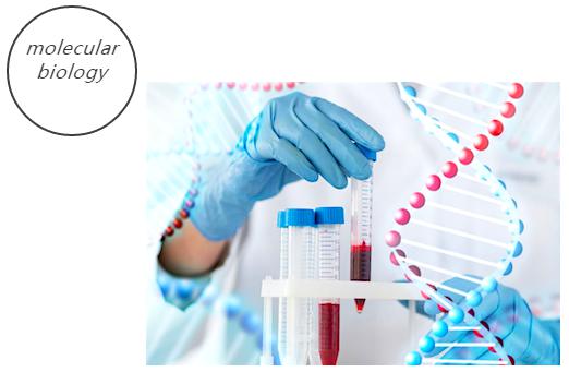 微流控分子生物学