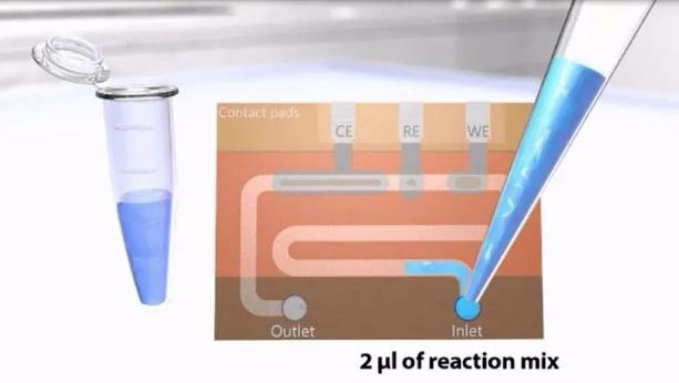 DNA聚合酶链反应