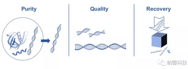 如何评估磁珠法提取核酸的效果？ 
