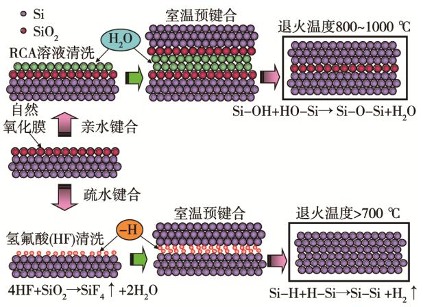 图1 硅晶圆的亲水键合和疏水键合原理
