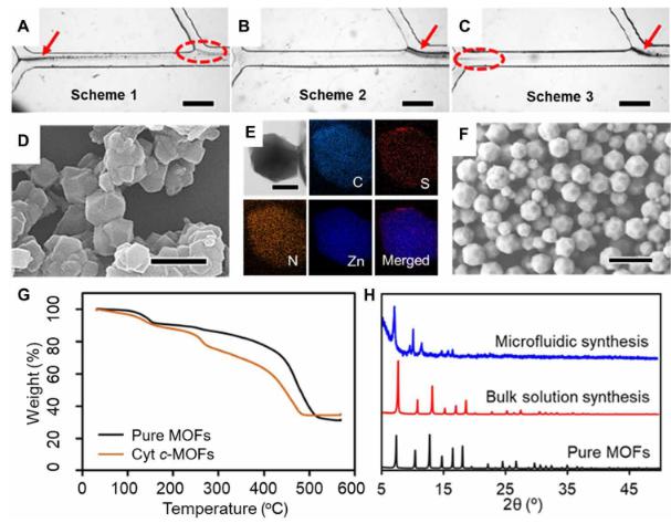 微流体合成Cyt c-MOF复合物的、结构、形貌等示意图