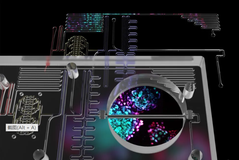 利用微流控技术筛选胰岛素生成细胞