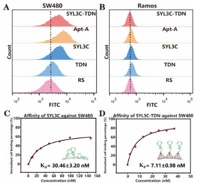 图2. SYL3C-TDN识别能力的探究