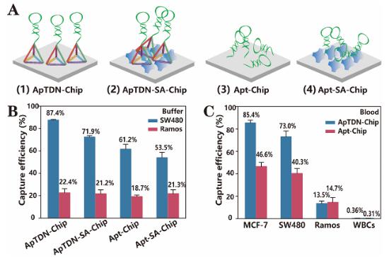 图3.核酸适体不同微纳米界面修饰的性能探究