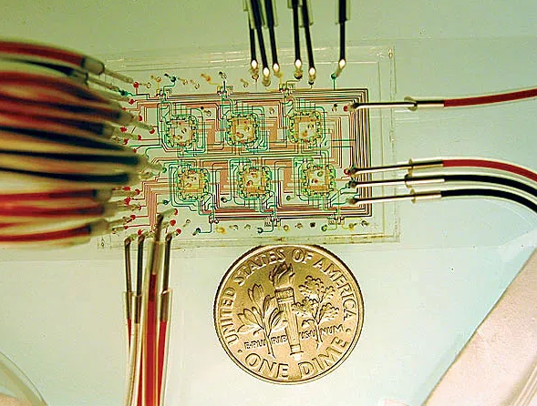 微流控芯片。图片来源：Nature 