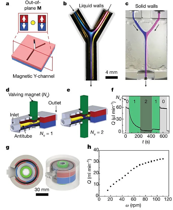 通过控制磁场实现微流体控制。图片来源：Nature