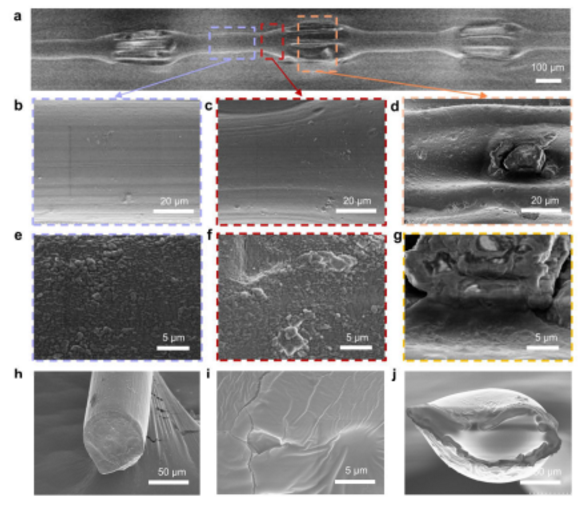 微流控沙漏型微纤维形态