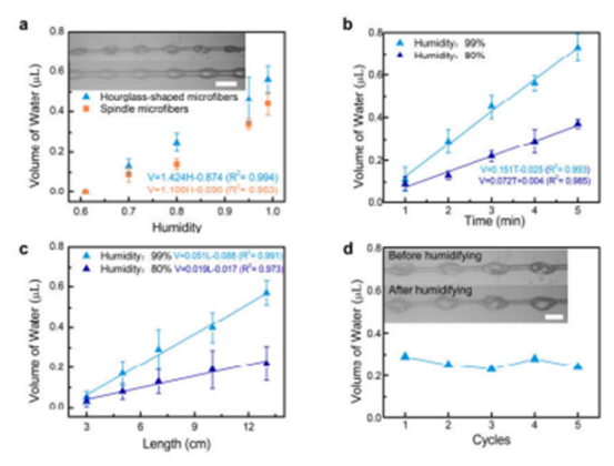 微流控沙漏型微纤维吸湿能力