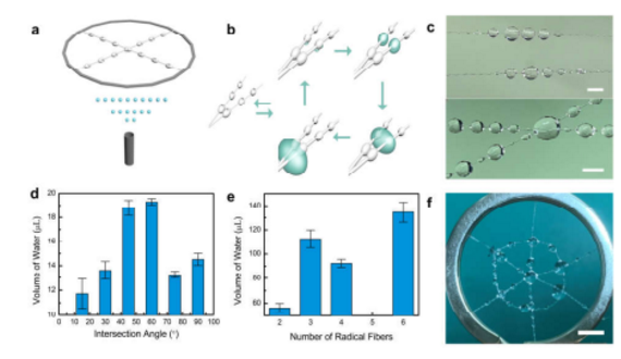 微流控沙漏型微纤维网络液滴吸附