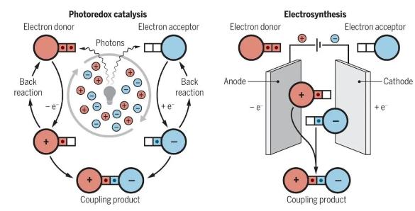 微流体电催化平台，成功实现合成自由基化学应用大突破