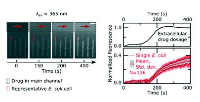 单细胞微流控技术帮助对抗抗生素耐药性