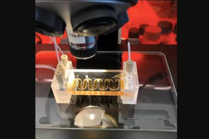 低成本的微流体传感器用于水质监测