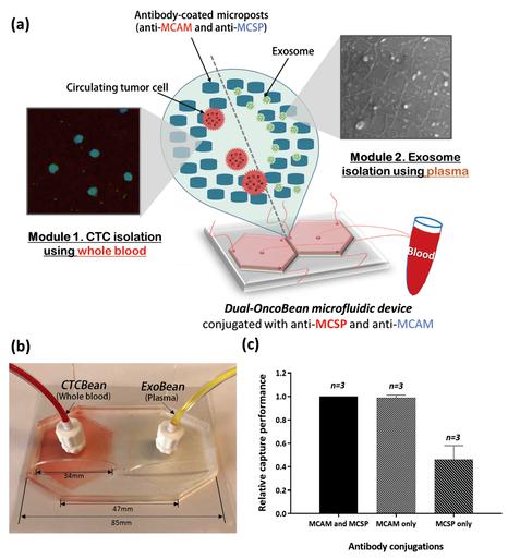 通过双重利用OncoBean（DUO）微流控设备双重隔离循环肿瘤细胞（CTC）和癌症外泌体