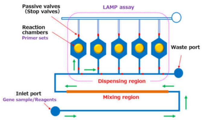微流控芯片技术可快速诊断多种植物病毒所引起的疾病