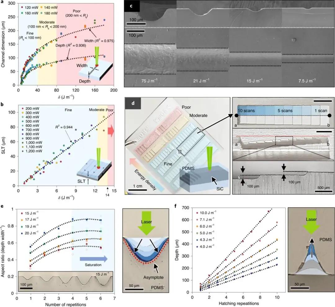 连续激光热解（SLP）的定量分析