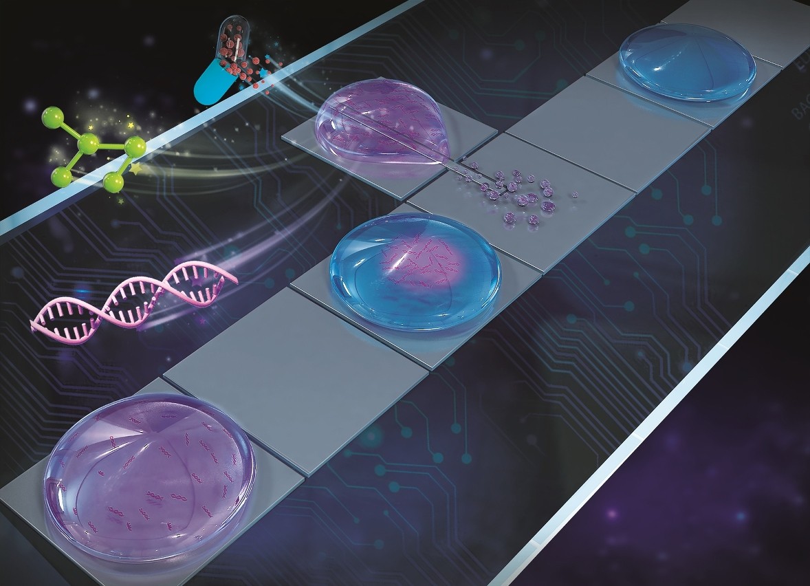 高压交流电场的驱动下定向喷射出的“卫星液滴”