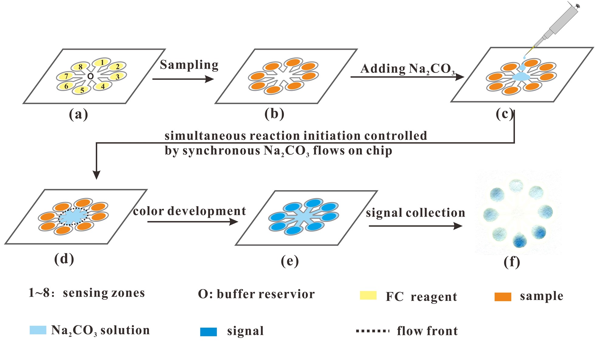 微流控纸芯片技术 10分钟可测出茶多酚含量
