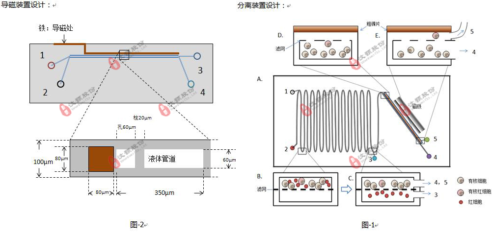 基于微流控平台的有核红细胞分析系统委托开发