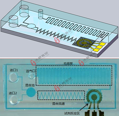 基于电化学检测的微流控芯片委托开发