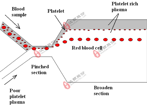 血栓诊断仪器与配套芯片委托开发