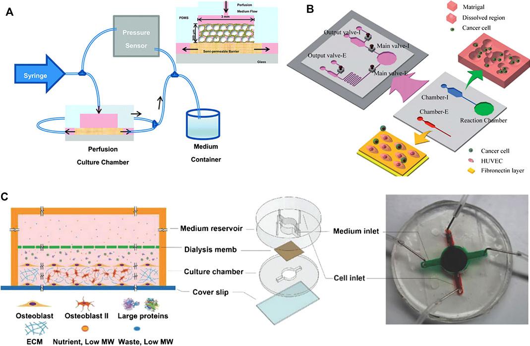图1。微流体骨组织模型的例子