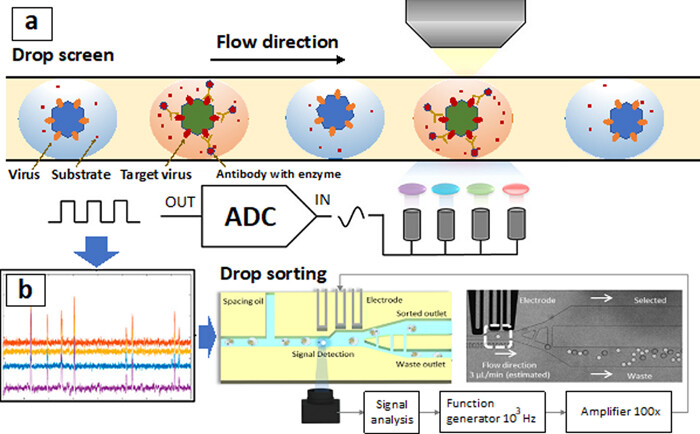 用于呼吸道病毒检测的微流体样品制备