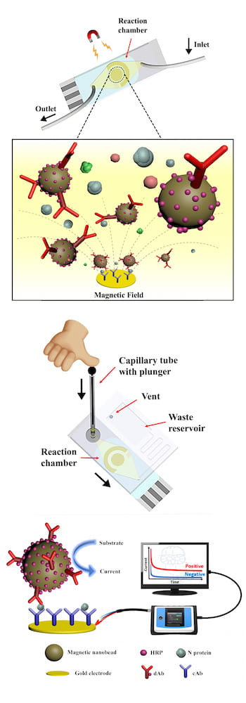 微流控芯片简化了COVID-19检测，可在55分钟或更短时间内在手机上提供结果
