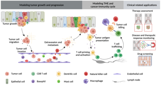 1661477996687975.png 图片1.png