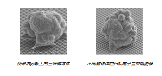 1675065672748182.png 6.png