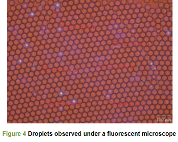 1691715105766190.png 图片10.png