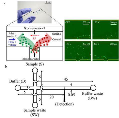 1705973055759041.png 图片2.png