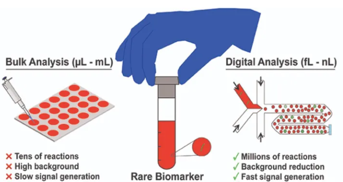 1709271232530081.png 图片6.png