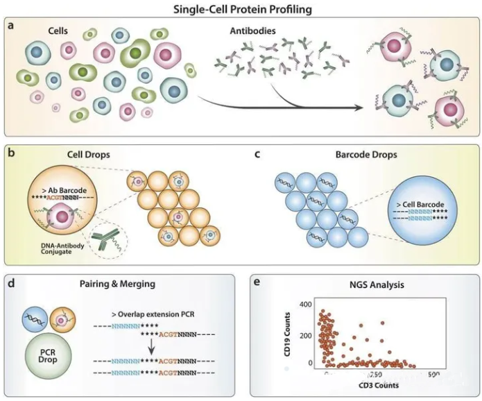 1709271241379580.png 1709271241379580.png