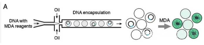 1709271357405503.png 图片2.png