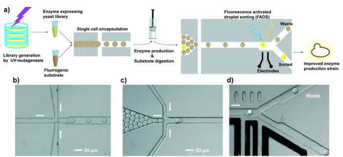 1709271458910940.png 图片3.png