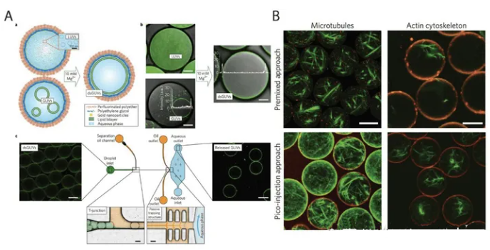 1709271472234635.png 图片5.png