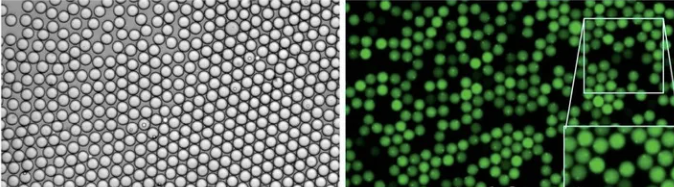 1709271528547944.png 图片7.png