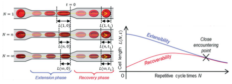 1710126949141620.png 图片2.png