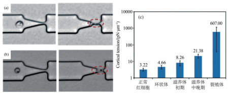 1710985596531803.png 图片4.png