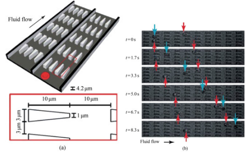 1710985614548154.png 图片5.png