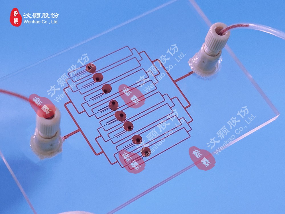 1711501819595795.jpg 1711501819595795.jpg