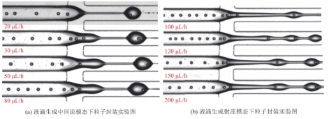 1712627497603213.png 图片7.png